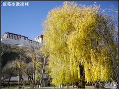 -宗角禄康公园