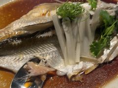 -宁波柏悦酒店·钱湖渔港