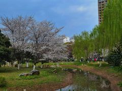-堤角公园