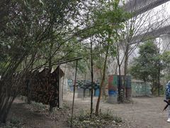 -勇士之星真人CS·团建·拓展(清水河公园店)