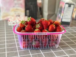 -蓝呗呗蓝莓草莓采摘园(通州区马驹桥店)