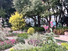 -北外滩滨江绿地