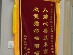 -瑞鹏宠物医院·骨外科·心肾科·肿瘤科(九亭店)