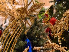 -深圳湾万象城(南山店)