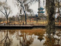-迎泽公园