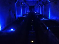 -816工程景区