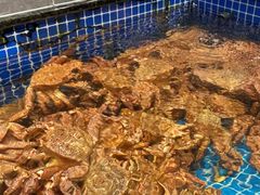-东海怡品海鲜豆捞(星街坊店)