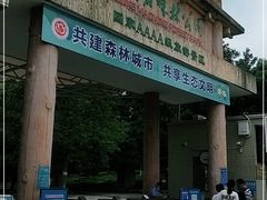 -广东茂名森林公园