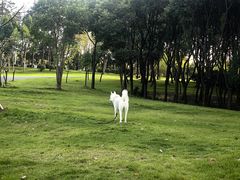 -尚贤河湿地