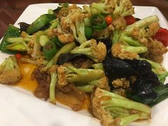 -凤齐羊肉烩面馆