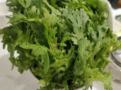 -九府羊鲜羊火锅·烧烤·小海鲜(华汇大厦店)