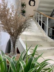 -M+hair salon专业造型沙龙