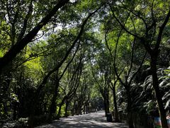 -滴水岩森林公园