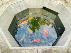 -西安市广仁寺