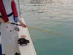 -小猫钓鱼海钓俱乐部(椰梦长廊店)