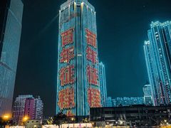 -武汉两江游览·夜游长江(汉口粤汉码头)
