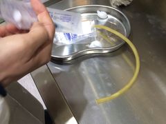 -暖阳宠物医院·犬猫康复中心·骨科