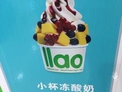 -Salud撒露欧洲冻酸奶(蓝色港湾店)