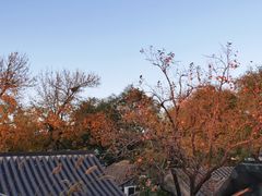 景观位-糖房咖啡(南锣鼓巷店)
