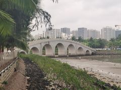 -万绿园