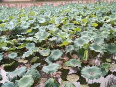 -绍兴鉴湖君澜大酒店