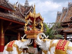 -西双版纳傣族园