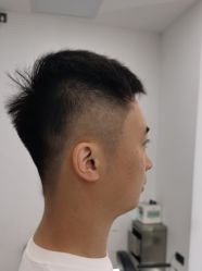 -YESIDO椰岛造型