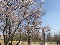 -两河城市森林公园