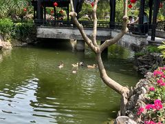 -中山詹园