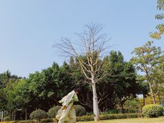 -溪岸路花鸟市场
