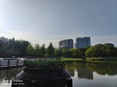 -大望京公园