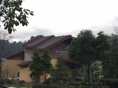 -中铁花水湾温泉酒店(大邑店)
