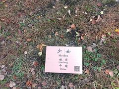 -长春世界雕塑园