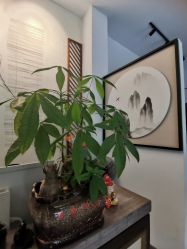 -后宫·古装汉服京剧儿童亲子全家福摄影