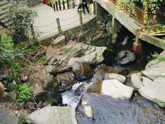 -藏龙百瀑风景区