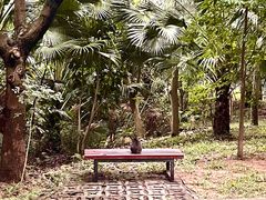-燕晗山郊野公园