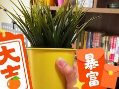 -IKEA宜家家居(南京商场)