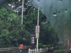 -海口火山口国家地质公园