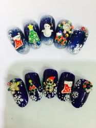 圣诞款-艾妃罗高科美肤美甲美睫健康管理