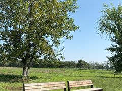 -汉长安城未央宫国家考古遗址公园