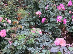 -人民公园(罗湖区)