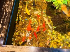 -隐炉和牛烧肉店(群力店)