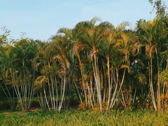 -白沙门生态公园