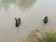 -琅岐红光湖公园
