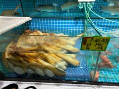 -石岐乳鸽村(南海第三分店)