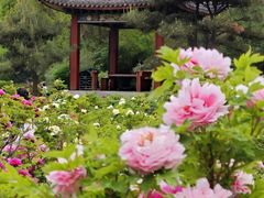 -迎泽公园