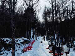 -洛阳白云山景区