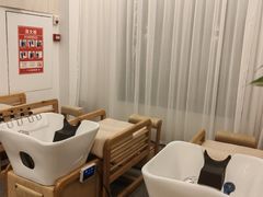 -不凡脑禅境·养生·舒压调理SPA(华发世纪城店)