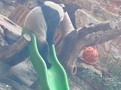 -辛玛王国游乐园