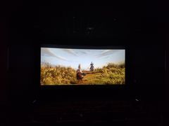 -武汉华夏国际影城(鲁广店)